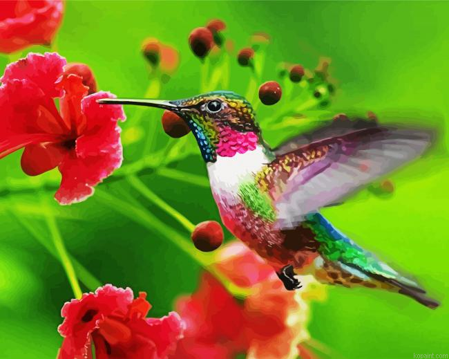 Cute Flying Hummingbird Paint By Numbers