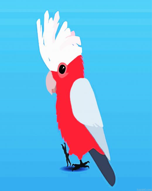 Cute Galah Bird Painting By Numberss.png