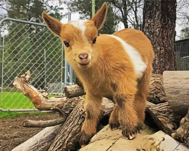 Cute Goat Painting By Numberss.png