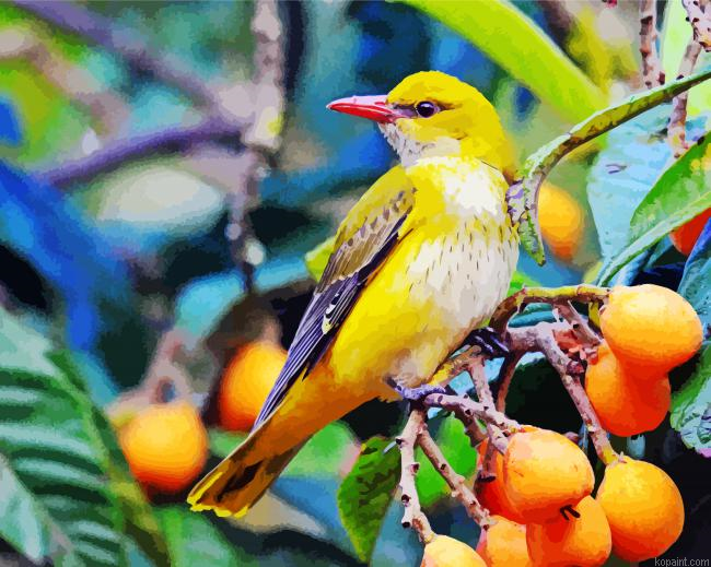 Cute Golden Oriole Painting By Numberss.png