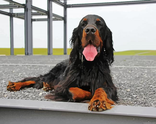Cute Gordon Setter Painting By Numberss.png