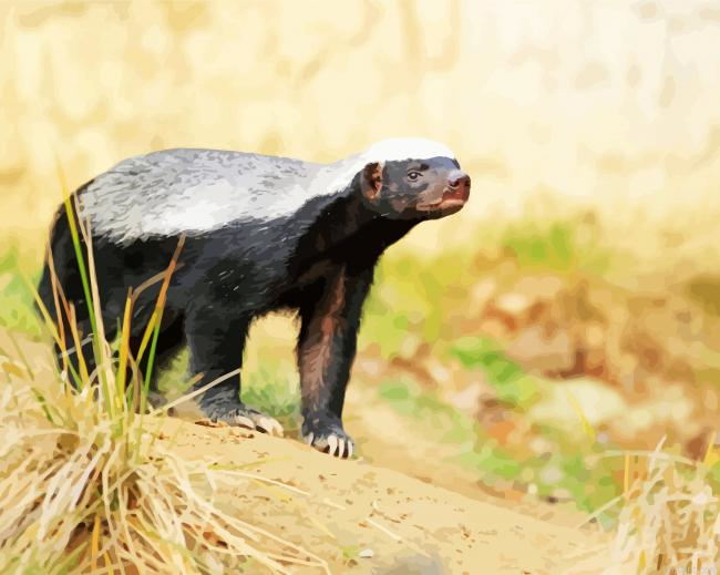 Cute Honey Badger Painting By Numberss.png
