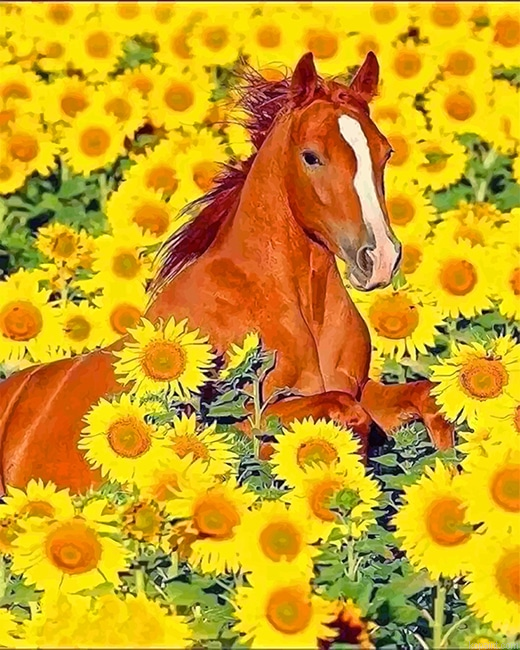 Cute Horse Sunflowers New Painting By Numberss.png