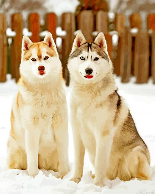 Cute Huskies Painting By Numberss.png
