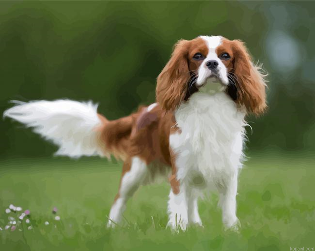 Cute King Charles Cavalier Dog Painting By Numberss.png