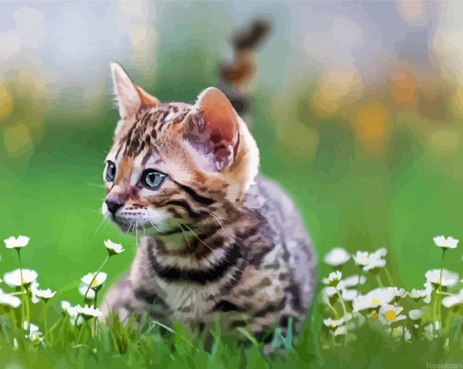 Cute Kitten Paint By Numbers