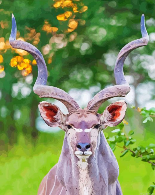 Cute Kudu Animal Paint By Numbers.png