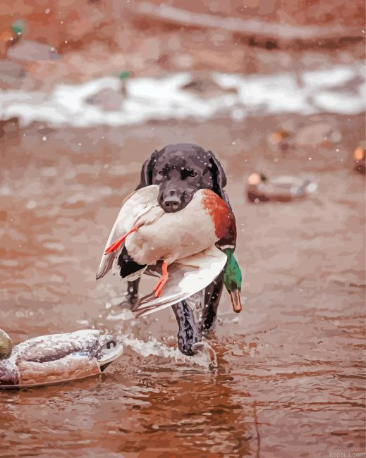 Cute Labrador Hunting Bird Painting By Numberss.png