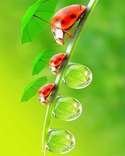Cute Ladybugs New Painting By Numberss.png