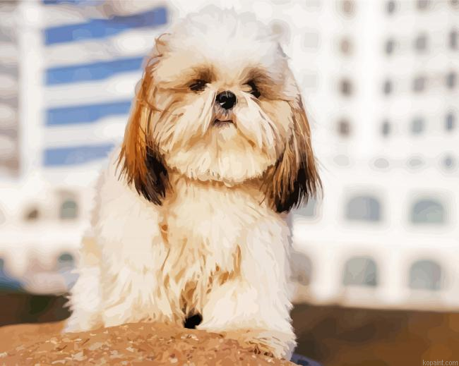 Cute Lhasa Apso Dog Painting By Numberss.png