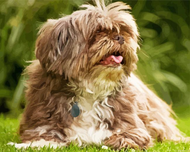 Cute Lhasa Apso Puppy Painting By Numberss.png
