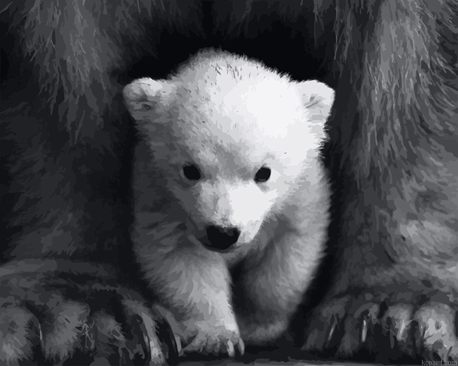 Cute Little White Bear New Painting By Numberss.png