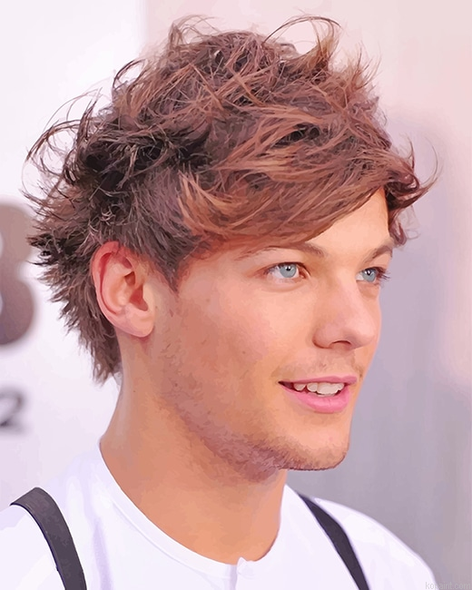 Cute Louis Tomlinson New Painting By Numberss.png