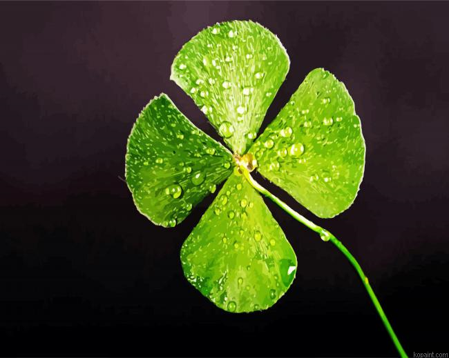 Cute Lucky Leaf Plant Painting By Numberss.png