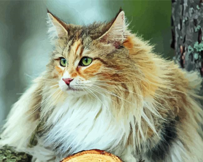 Cute Norwegian Forest Cat Paint By Numbers