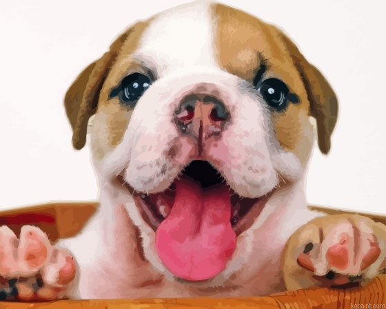 Cute Old English Bulldog Puppy Painting By Numberss.png