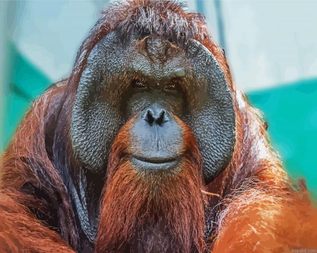 Cute Orangutan Monkey Paint By Numbers.png