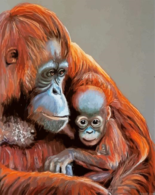Cute Orangutans Paint By Numbers.png