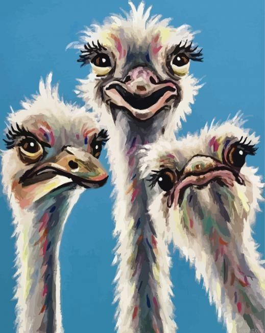 Cute Ostriches Birds Painting By Numberss.png