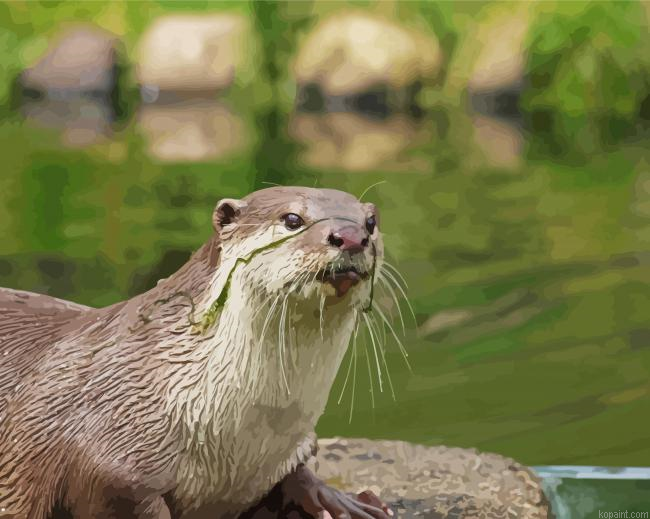 Cute Otter Animal Painting By Numberss.png