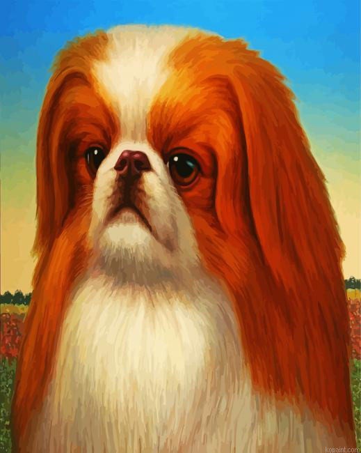 Cute Pekingese Dog Painting By Numberss.png