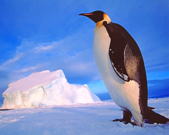 Cute Penguin New Painting By Numberss.png