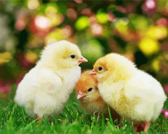 Cute Poussine Birds Painting By Numberss.png
