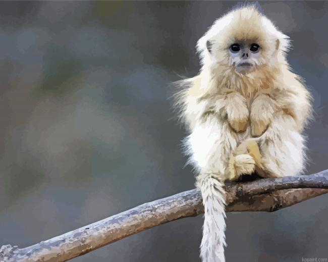 Cute Primate Animal Painting By Numberss.png