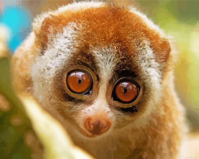 Cute Primate Animals Painting By Numberss.png