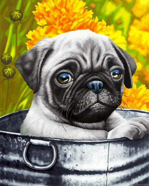 Cute Pug Painting By Numberss.png