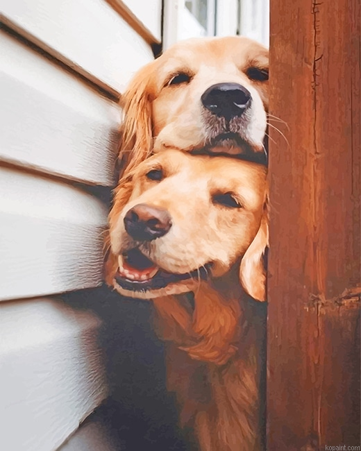 Cute Puppies New Painting By Numberss.png