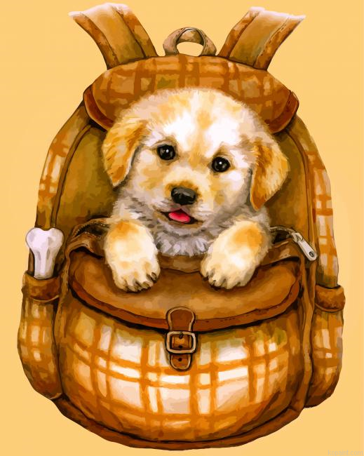 Cute Puppy Paint By Numbers