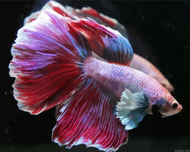 Cute Purple Betta Fish Painting By Numberss.png