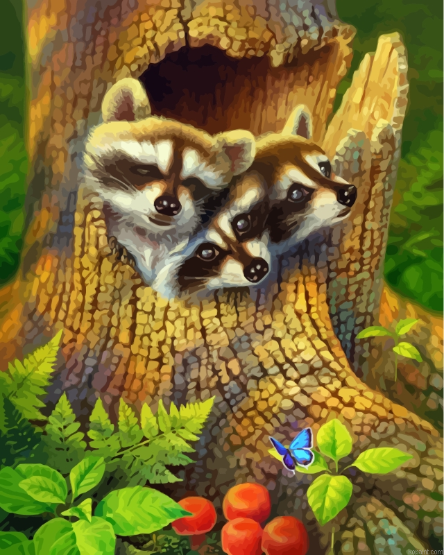 Cute Raccoons Painting By Numberss.png
