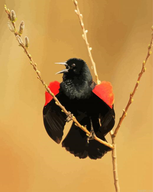 Cute Red Winged Blackbird Painting By Numberss.png
