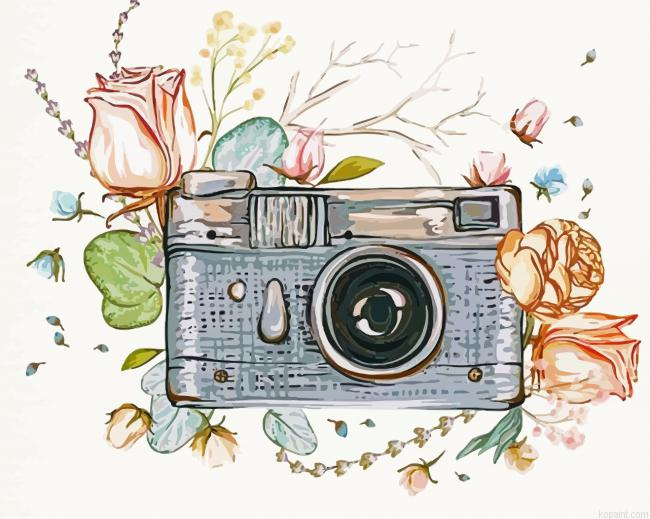 Cute Retro Camera Painting By Numberss.png