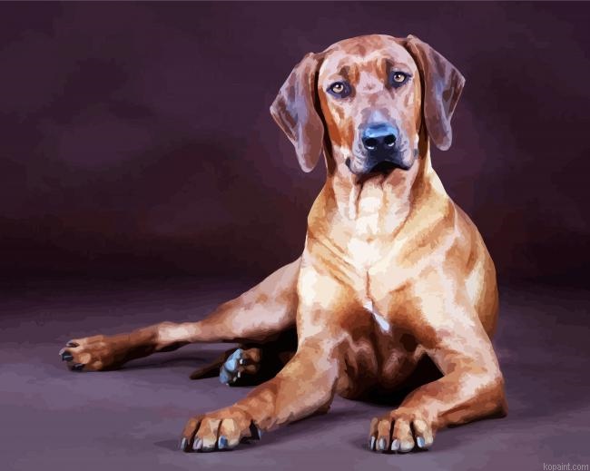 Cute Rhodesian Ridgeback Animal -Paint By Numbers