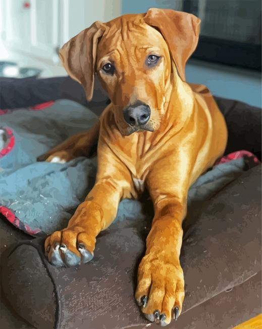 Cute Ridgeback Puppy Paint By Numbers
