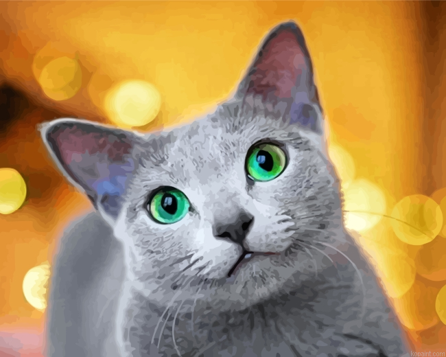 Cute Russian Blue Cat Painting By Numberss.png