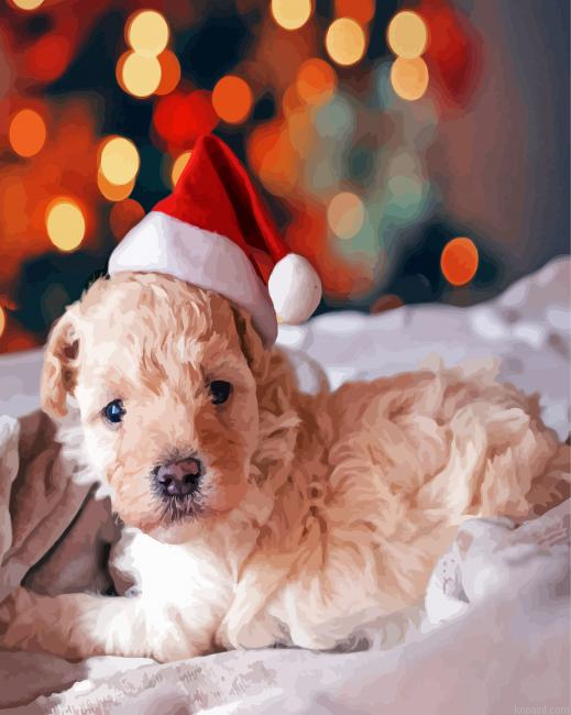 Cute Santa Puppy Paint By Numbers