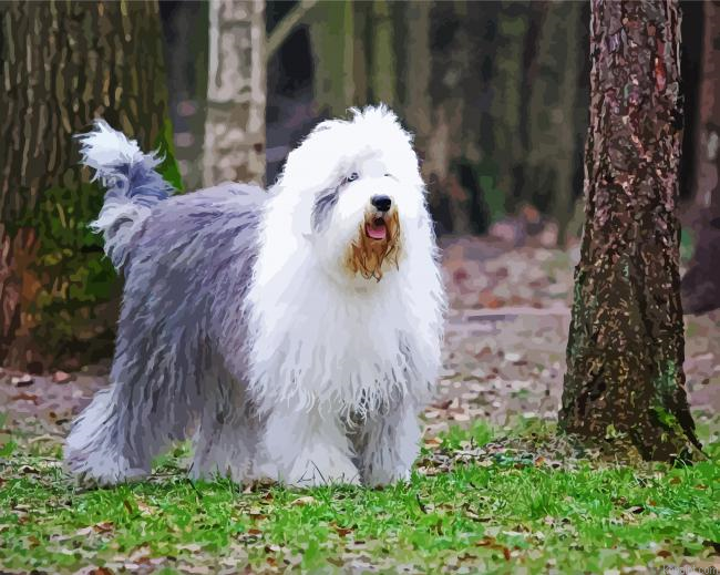 Cute Sheep Dog Animal Painting By Numberss.png