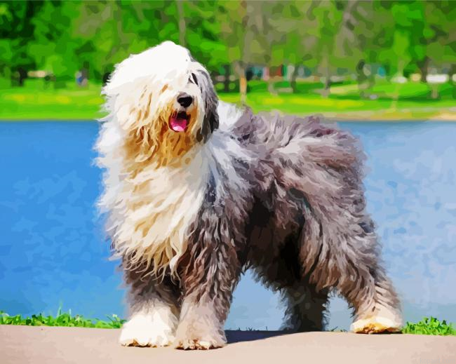 Cute Sheep Dog Painting By Numberss.png