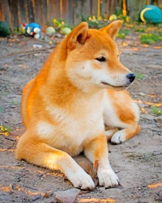 Cute Shiba Inu Painting By Numberss.png