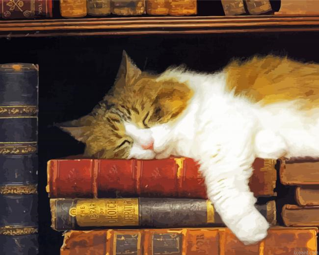Cute Sleepy Cat And Books Paint By Numbers