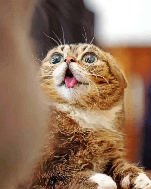 Cute Smirk Cat Painting By Numberss.png