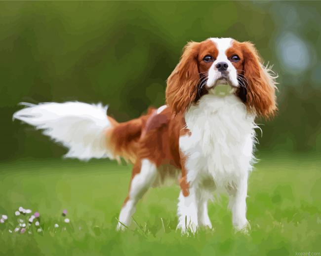 Cute Spaniel Puppy Painting By Numberss.png