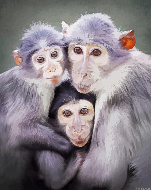 Cute Three Monkeys Animals Painting By Numberss.png
