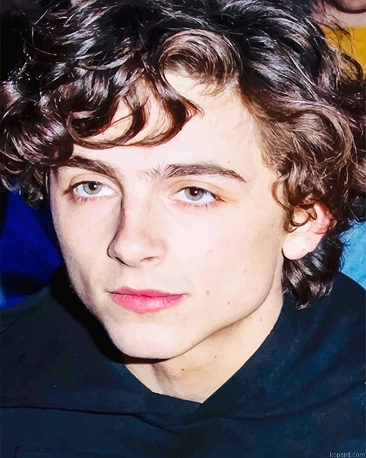 Cute Timothee Chalamet New Painting By Numberss.png