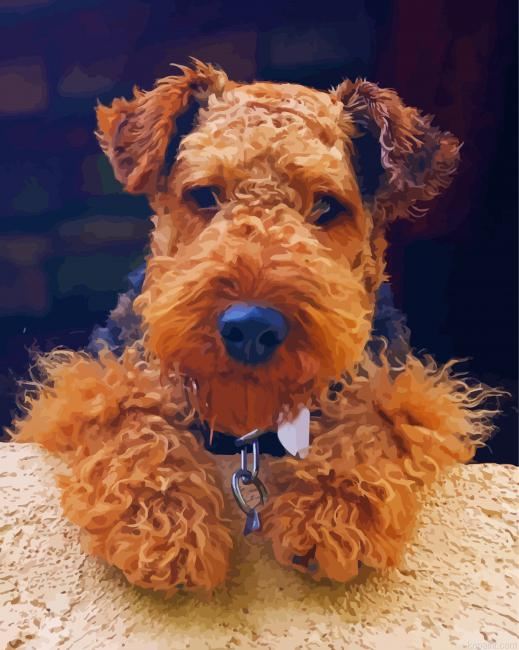 Cute Welsh Terrier Painting By Numberss.png