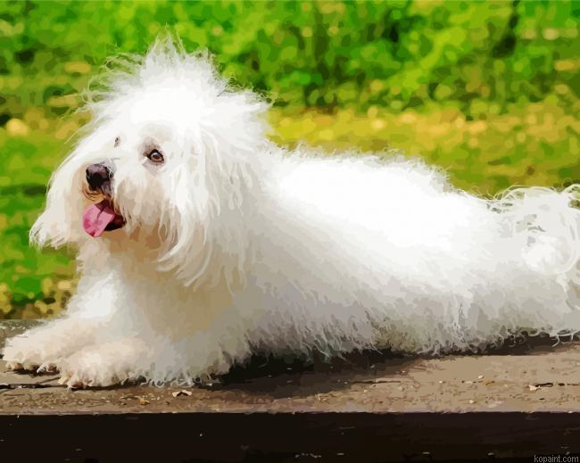 Cute White Fluffy Dog Painting By Numberss.png